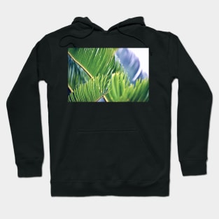 Tropical Texture Hoodie